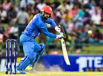 本新潟作为 本新潟作为